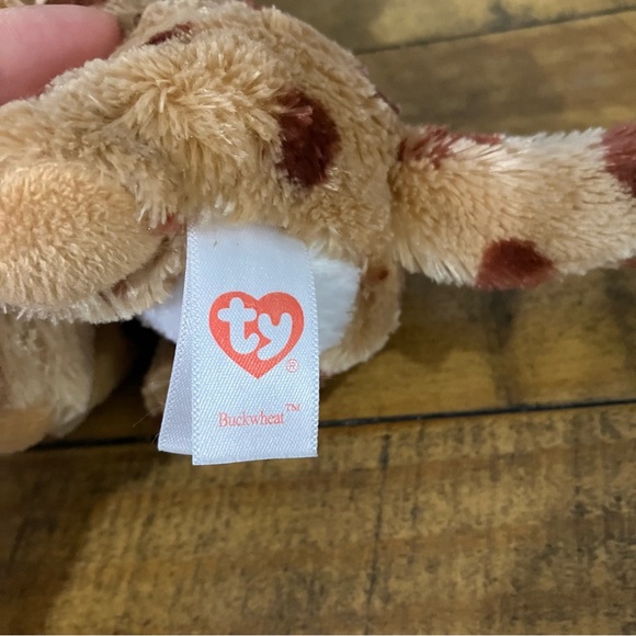 3/$18 - Ty Beanie Boos | Buckwheat the Lynx Cat stuffed animal - Picture 7 of 8